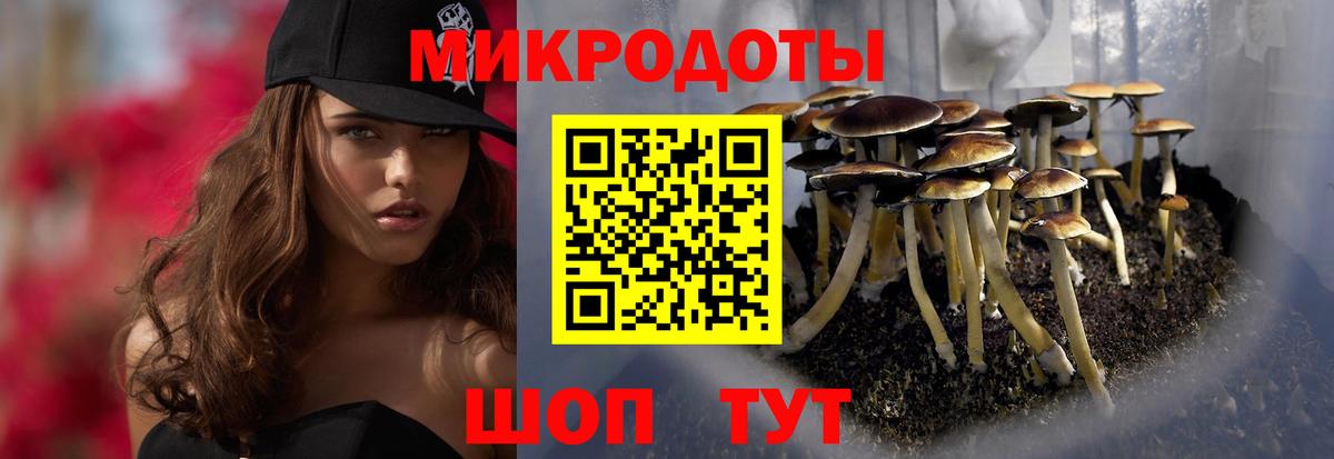 Химки  Галлюциногенные грибы Psilocybe  Вход с VPN 